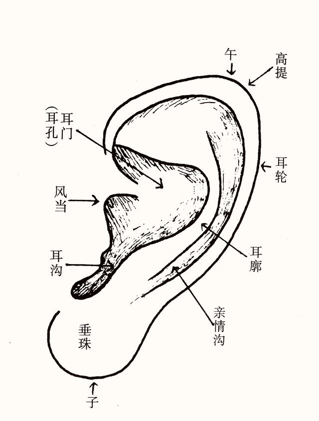 邵伟华八字化解女命克夫