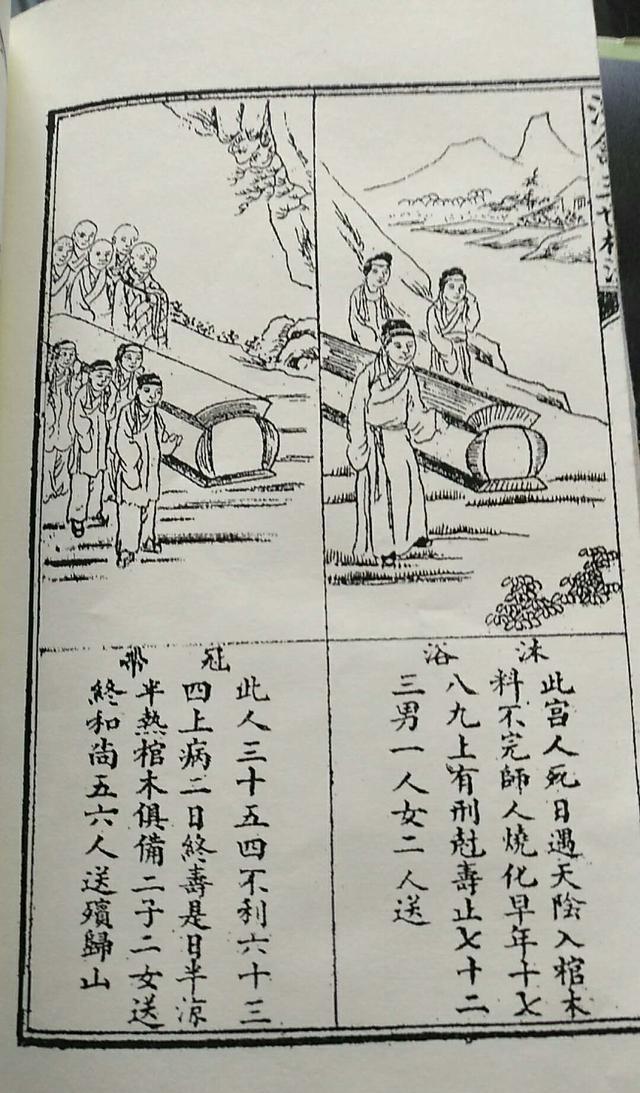 魏多亮八字女命阳日干正印为母的简单介绍