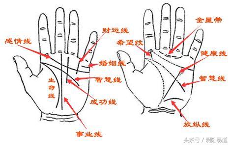 横掌命运如何