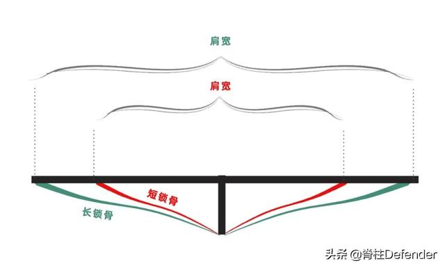 锁骨过于明显的女人运势会如何