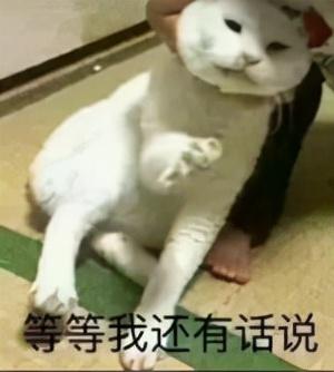 九月几日的猪命运如何