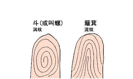 如何通过看手相预知人生运势