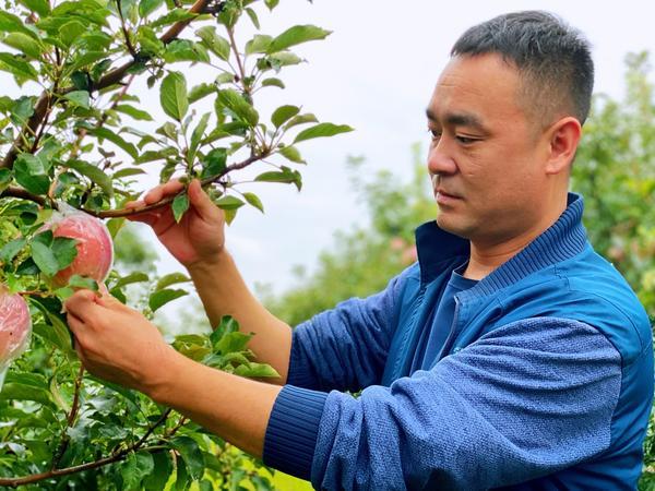 运城小程序代理平台该如何挑选