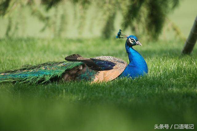 生辰八字如何知道和佛有缘