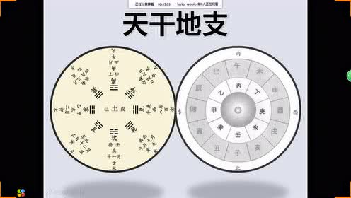 女命八字官星藏于地支