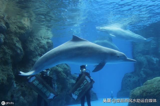 辰戌八字风水课堂自频优酷