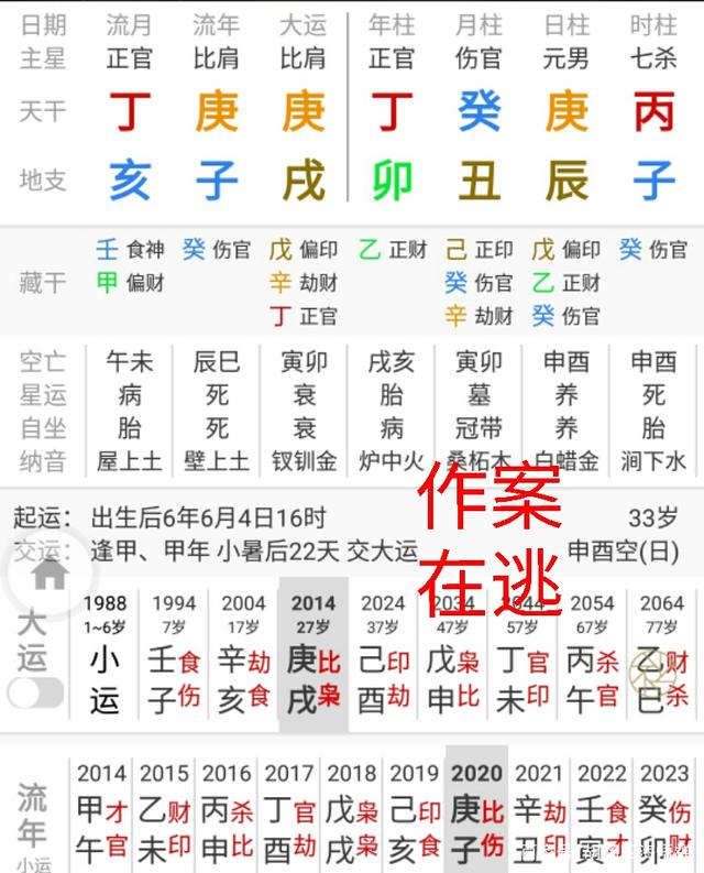 女命八字一官的