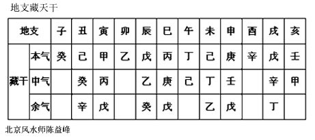 女命八字地支藏官