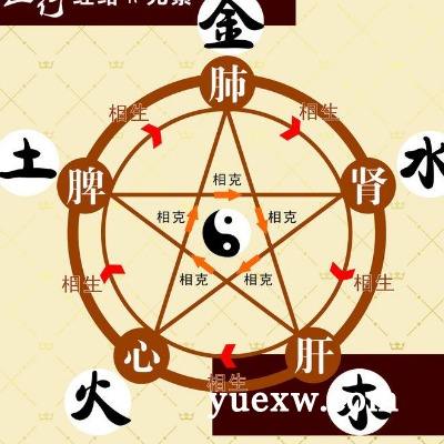 井栏斜叉个人命运如何的简单介绍