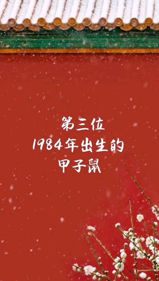 1984年女命在2020年运势及财富