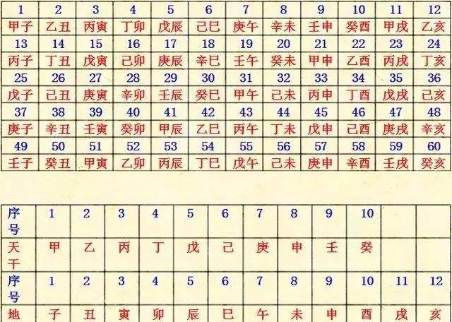 女命八字大运与日支合