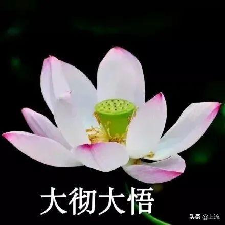 算命风水叫什么学