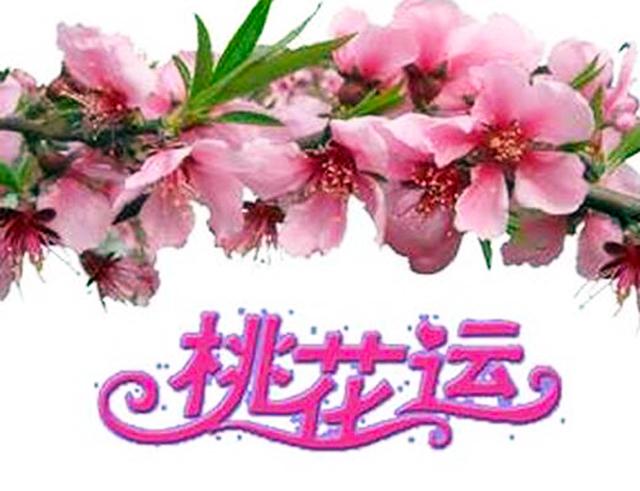 批八字说有桃花运