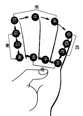 批戊子日柱八字