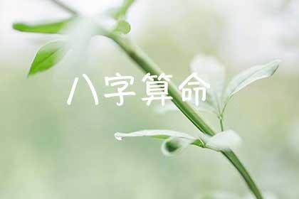 周易免费批八字称命