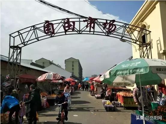 皮强飞--湖南省岳阳市开发区八字门蔬菜批发市场