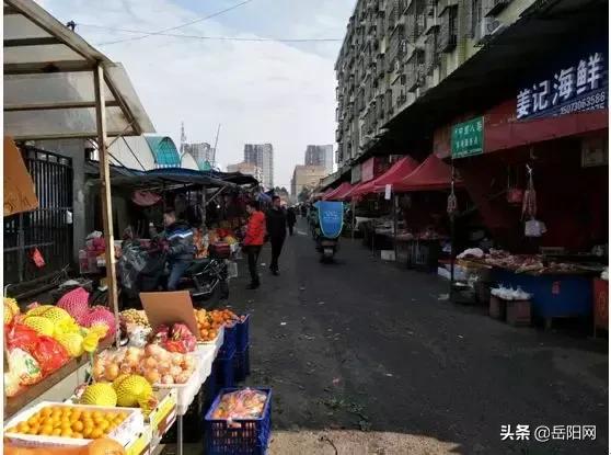 皮强飞--湖南省岳阳市开发区八字门蔬菜批发市场