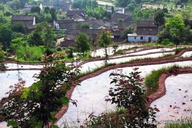 安徽黄山易经风水大师王明法