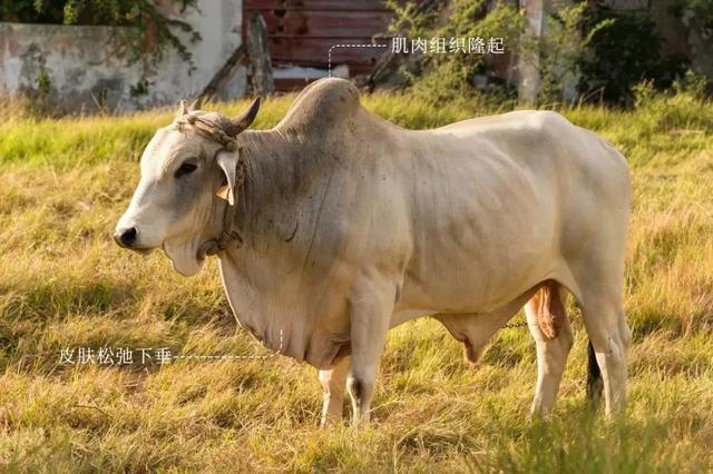 南阳易经风水网