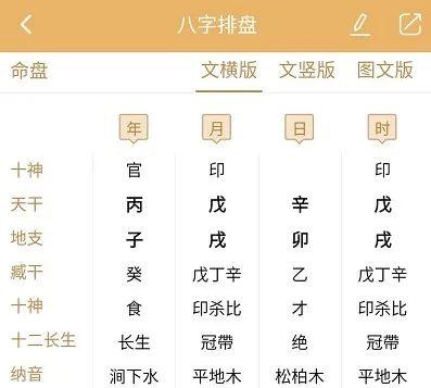 批八字软件怎么看