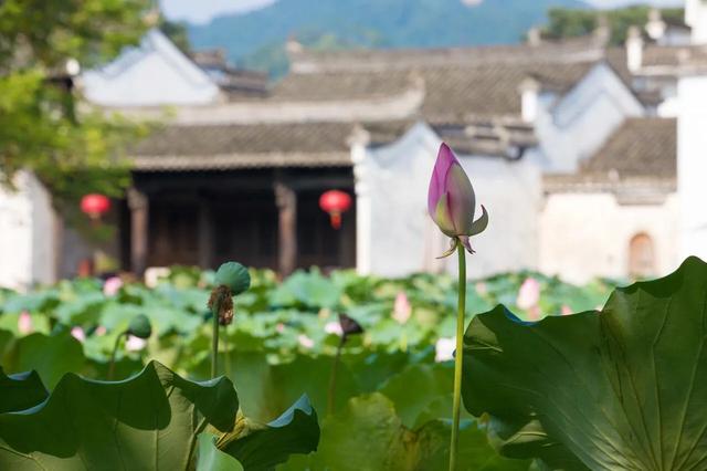 易经风水住宅选址