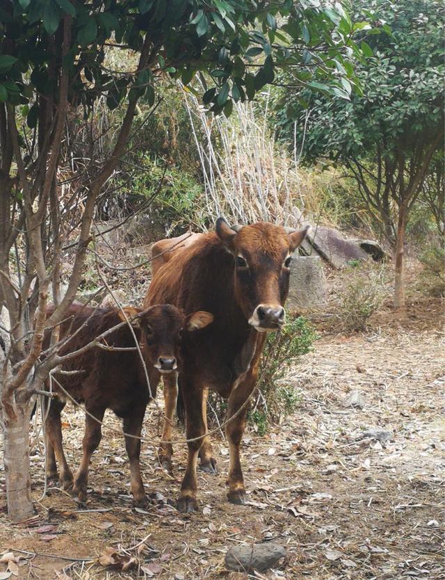 易经风水住宅选址