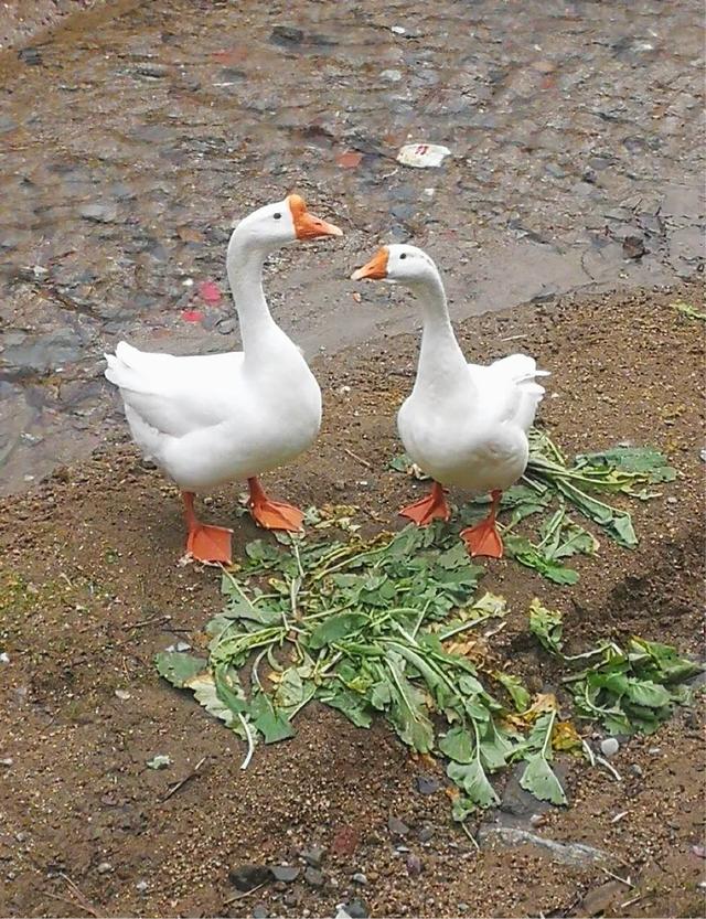 易经风水住宅选址