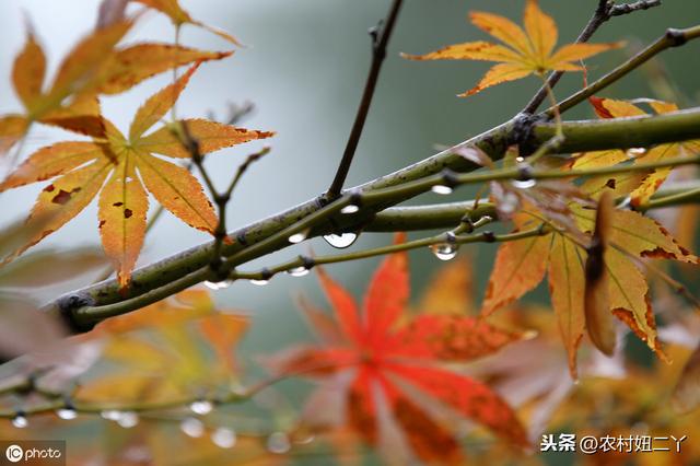 宫度算命法详解女命十宫六度