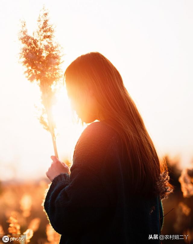 宫度算命法详解女命十宫六度