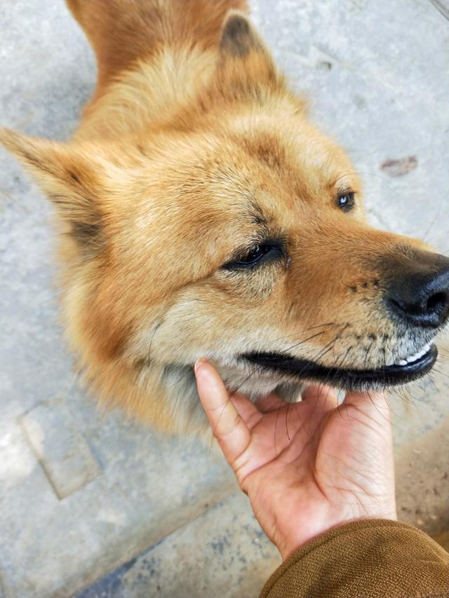 周易预测风水