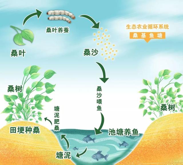 大良周易风水大师