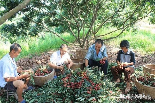 重庆江津区易经风水网