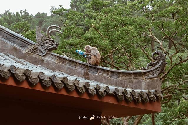 兴义易经风水专家