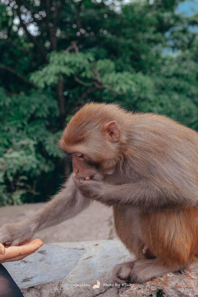 兴义易经风水专家