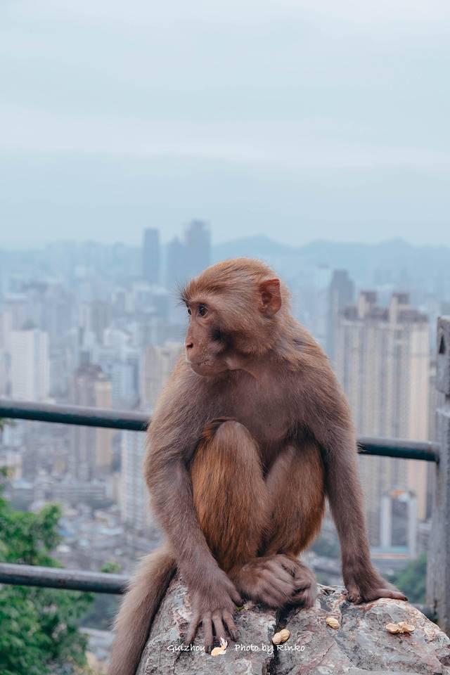 兴义易经风水专家