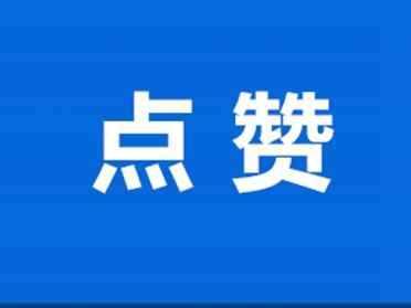 青岛批八字