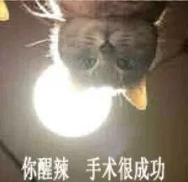 老猫批八字算的不准