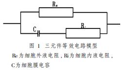 老猫批八字算的不准