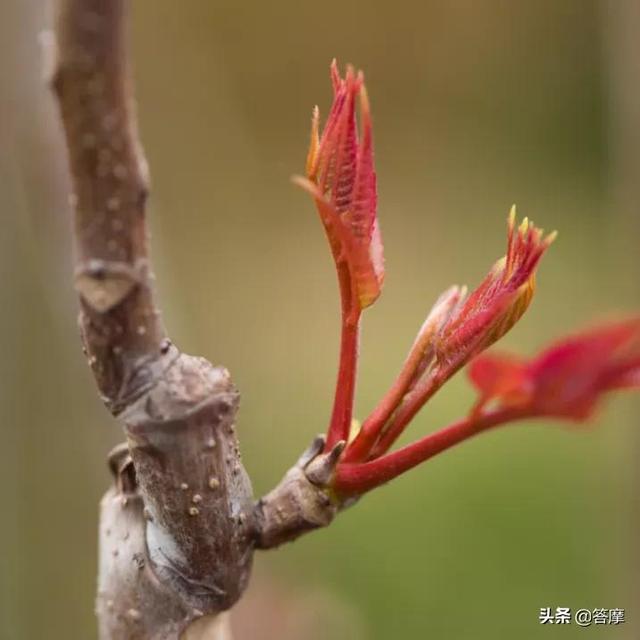 易经风水三百年不传之迷