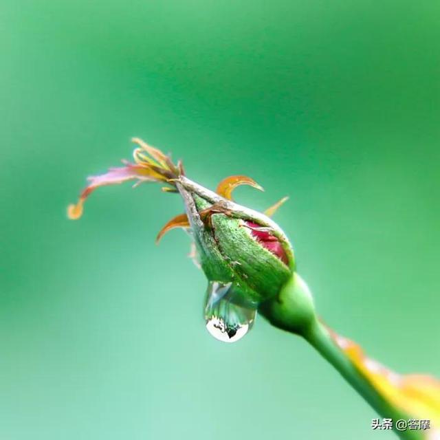 易经风水三百年不传之迷