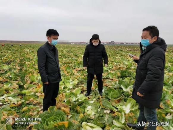 陈正明--岳阳市八字门亚华蔬菜批发市场