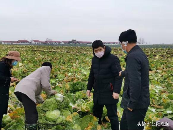 陈正明--岳阳市八字门亚华蔬菜批发市场