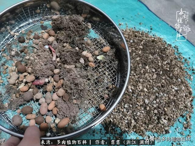 麻烦大师帮忙批下八字