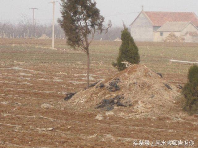 风水中的八字斜飞是什么