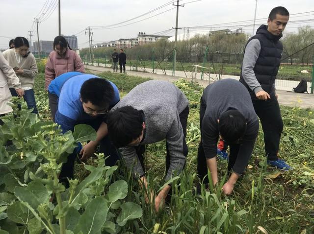 临沧批八字很准的师傅