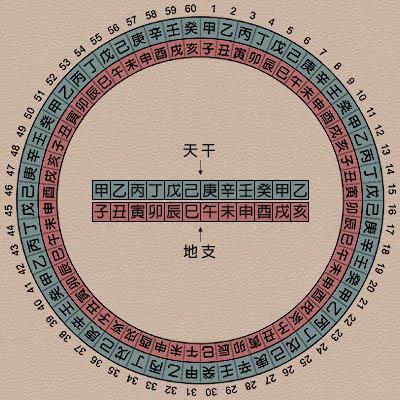 批八字是哪八个字