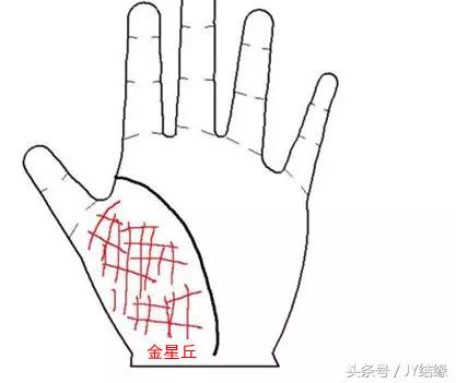 掌上批八字