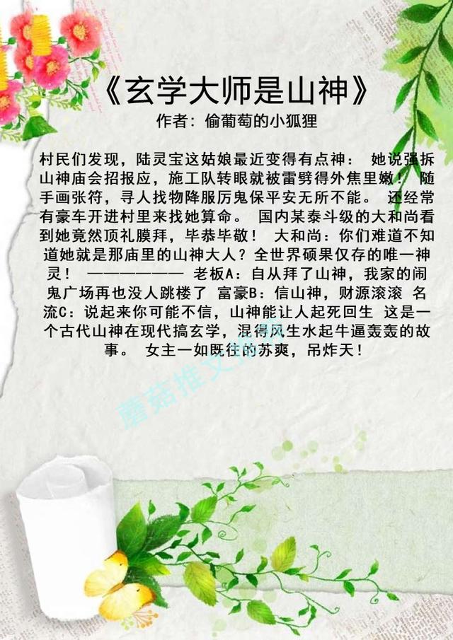 女主会风水算命的小说