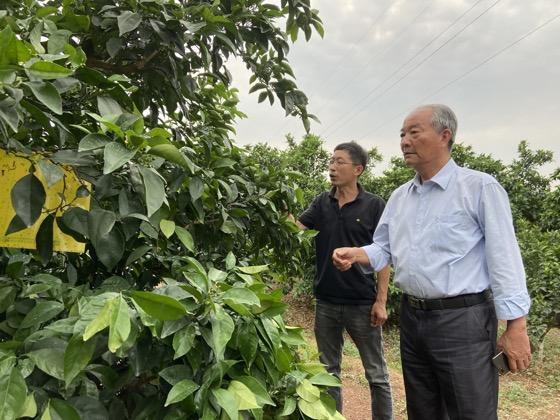 诸暨看风水算命哪个师傅好