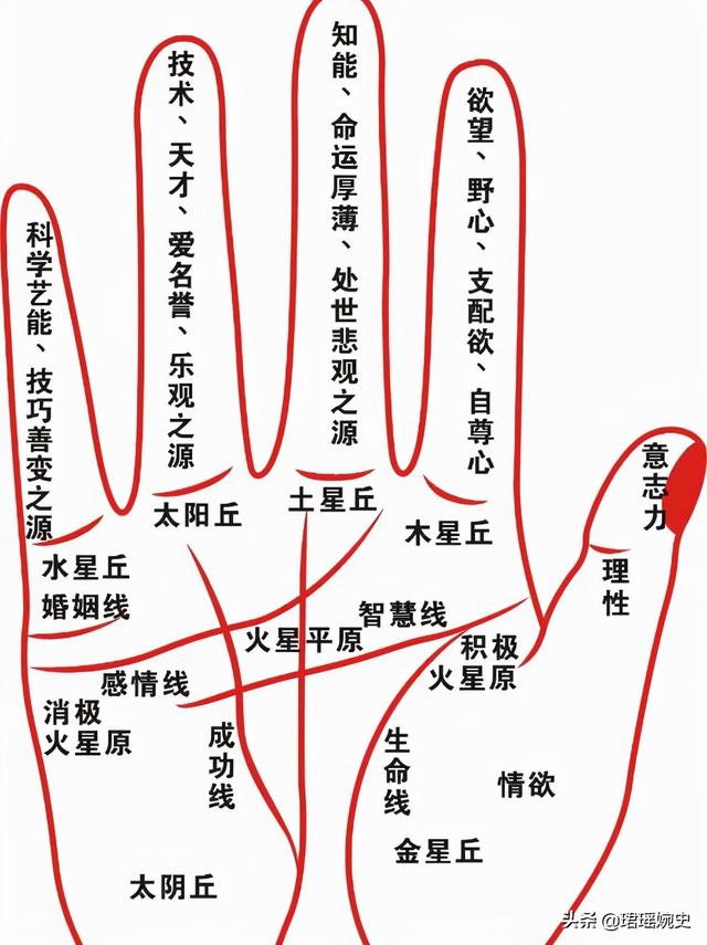 八字算命法骨相表